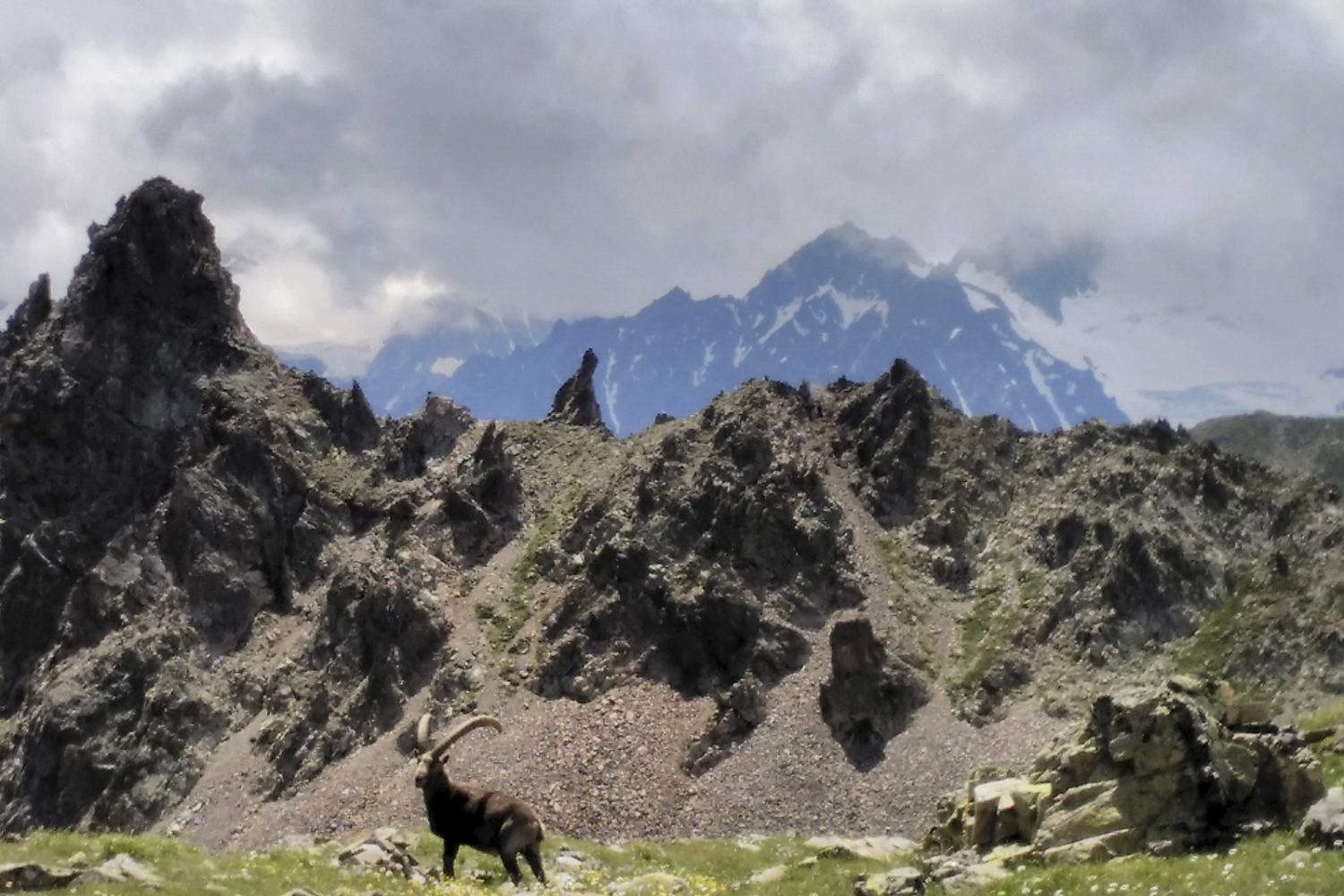 tour de la clarée accompagné, Crête du Chardonnet