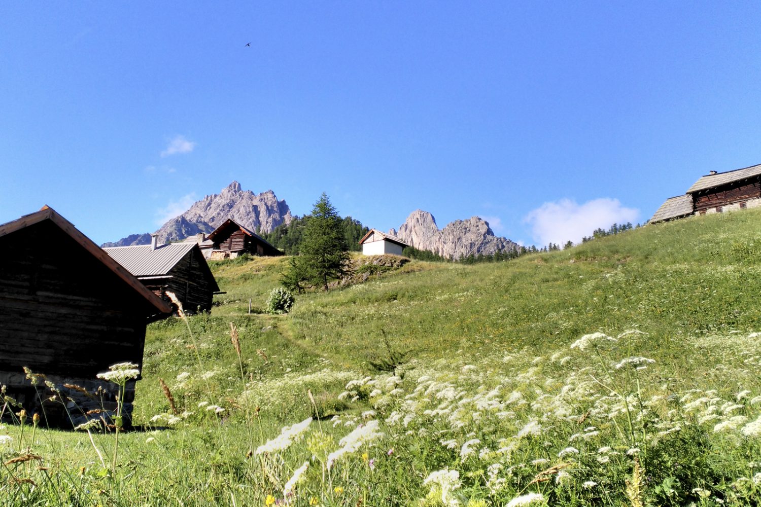 tour de la clarée accompagné, chalets du queyrellin