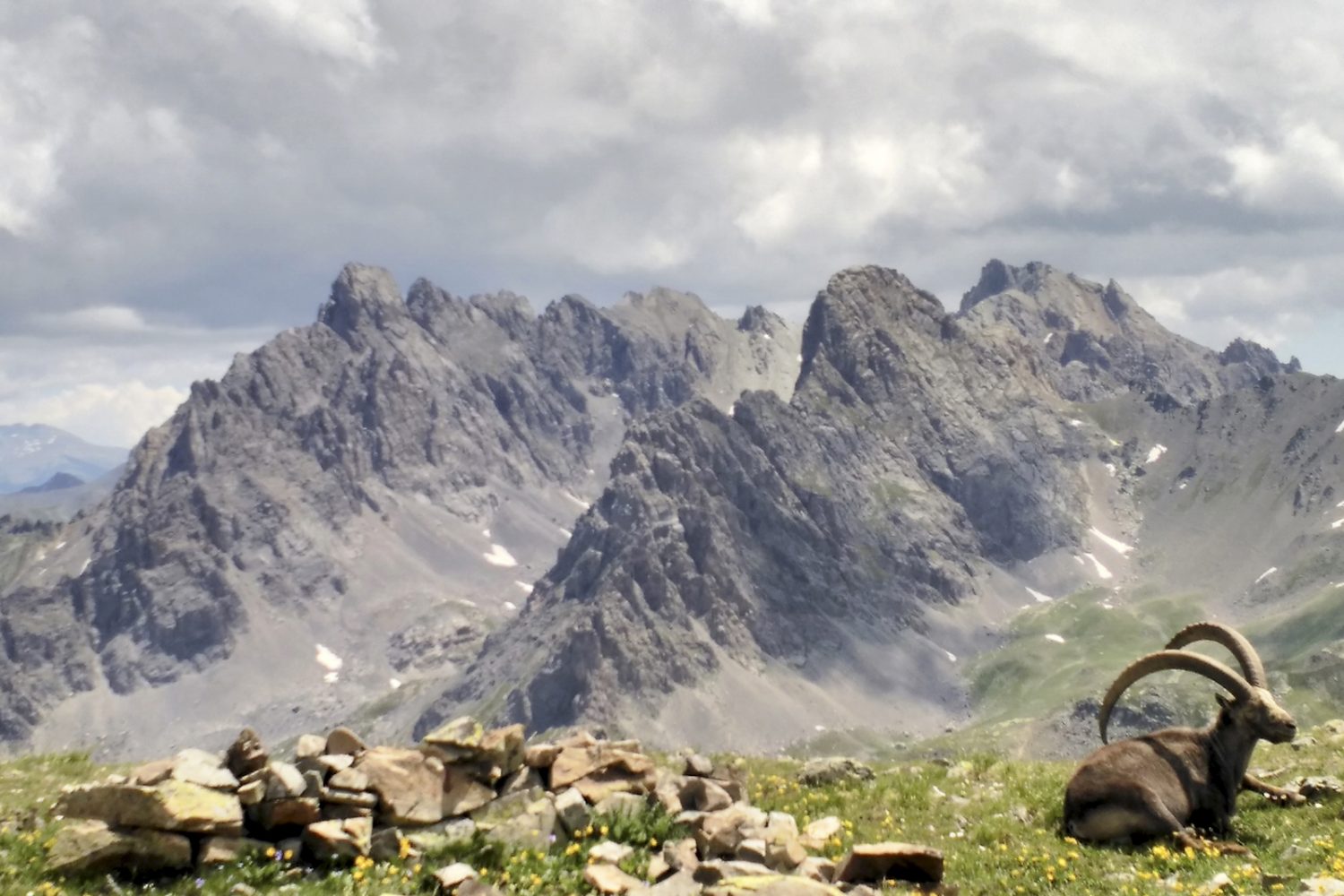 Tour de la Clarée, accompagné. col de chardonnet