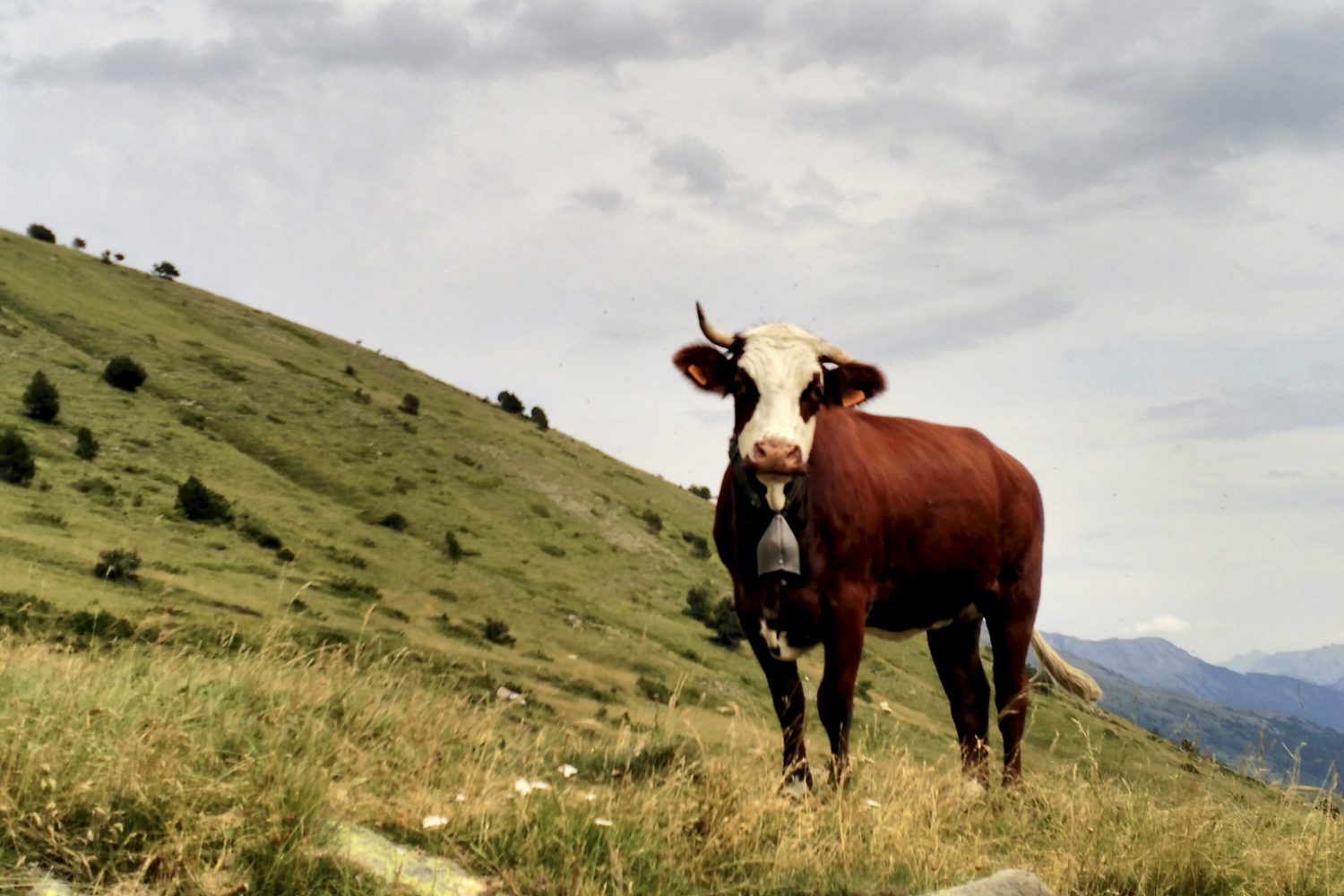 Vallée de la Clarée