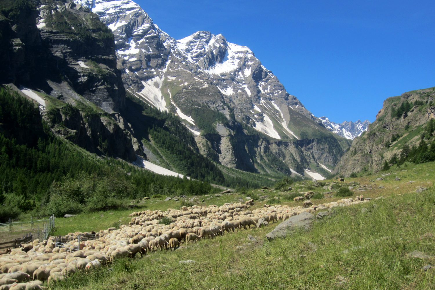 Tour des Écrins, GR 54 séjour accompagné