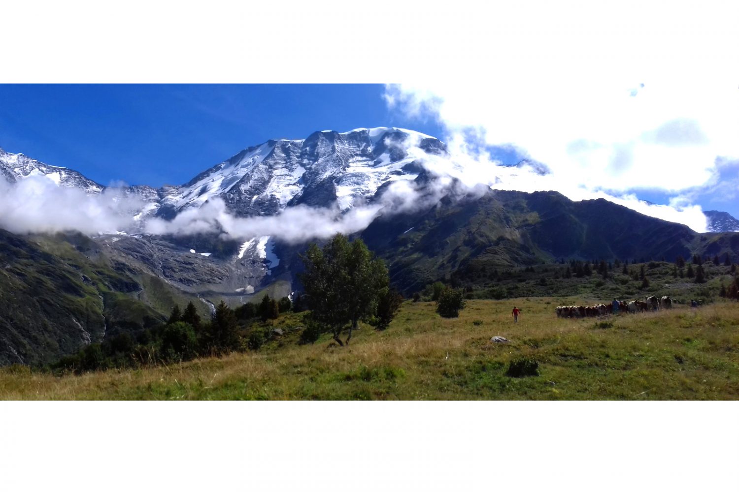 TBM tour del mont blanc_chalets de truc