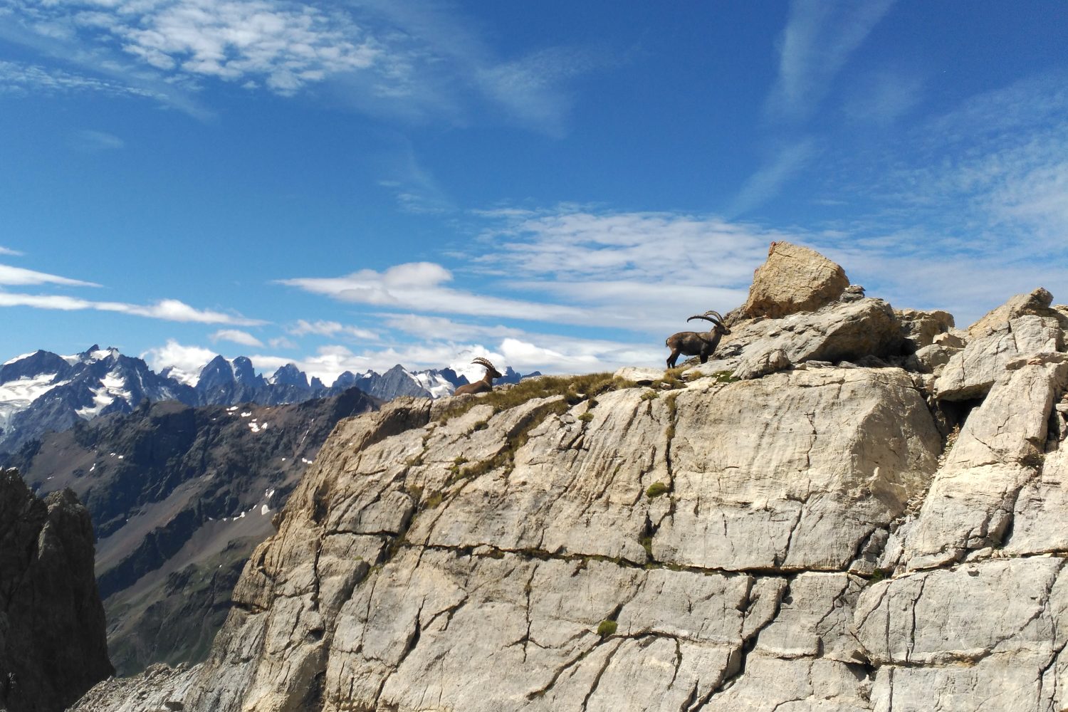 bouquetains et ecrins