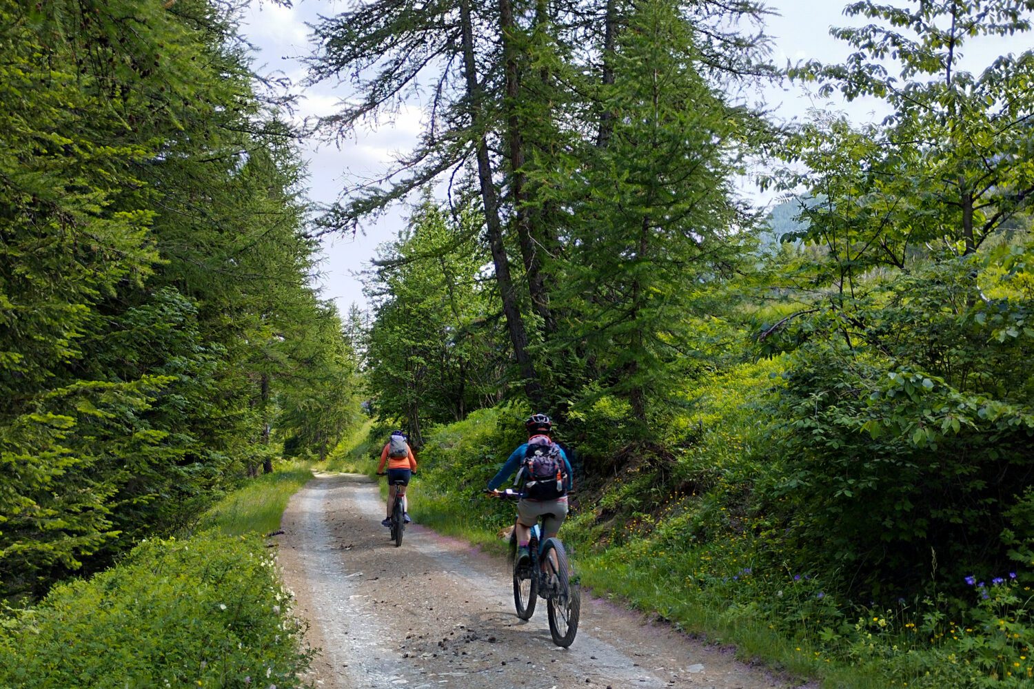 Tour des Écrins, 6 jours. Freissinières